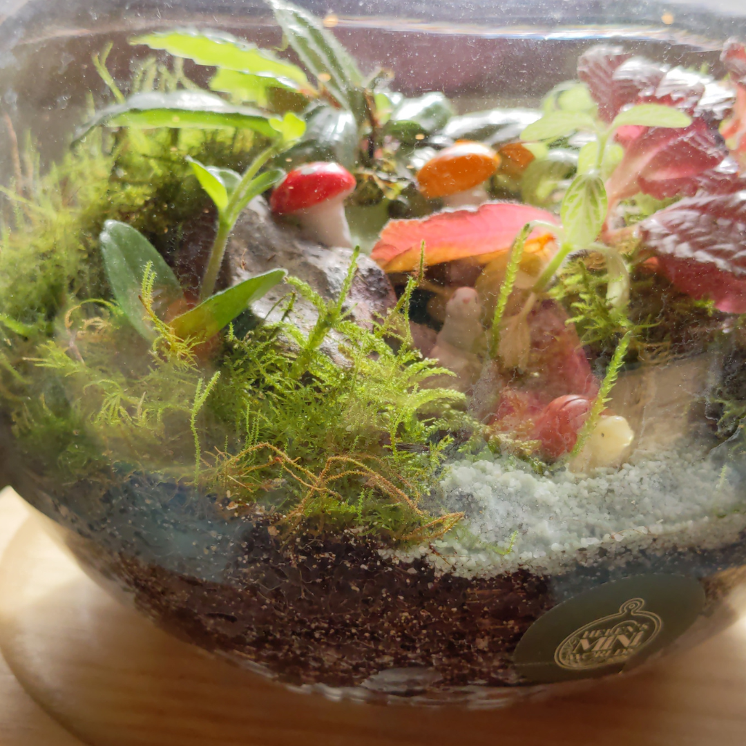 Mini Resin Turtle Terrarium Accessory