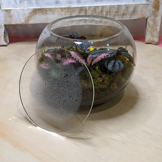 Terrarium Lid | Round